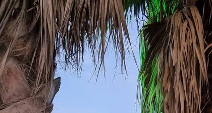 Apartamento céntrico, Benalmádena, piscina, a poca distancia de la playa.