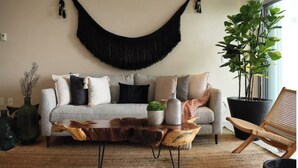 Ein Wohnzimmer mit grauem Sofa, einem Holztisch, einem schwarzen Stoffbaldachin, einer großen Topfpflanze und einem Korbstuhl.