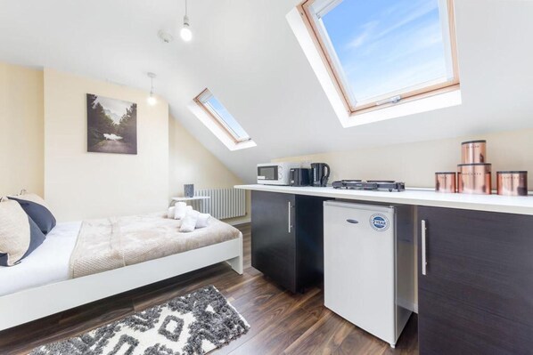 A compact bedroom with a bed, a small kitchenette, and a skylight.