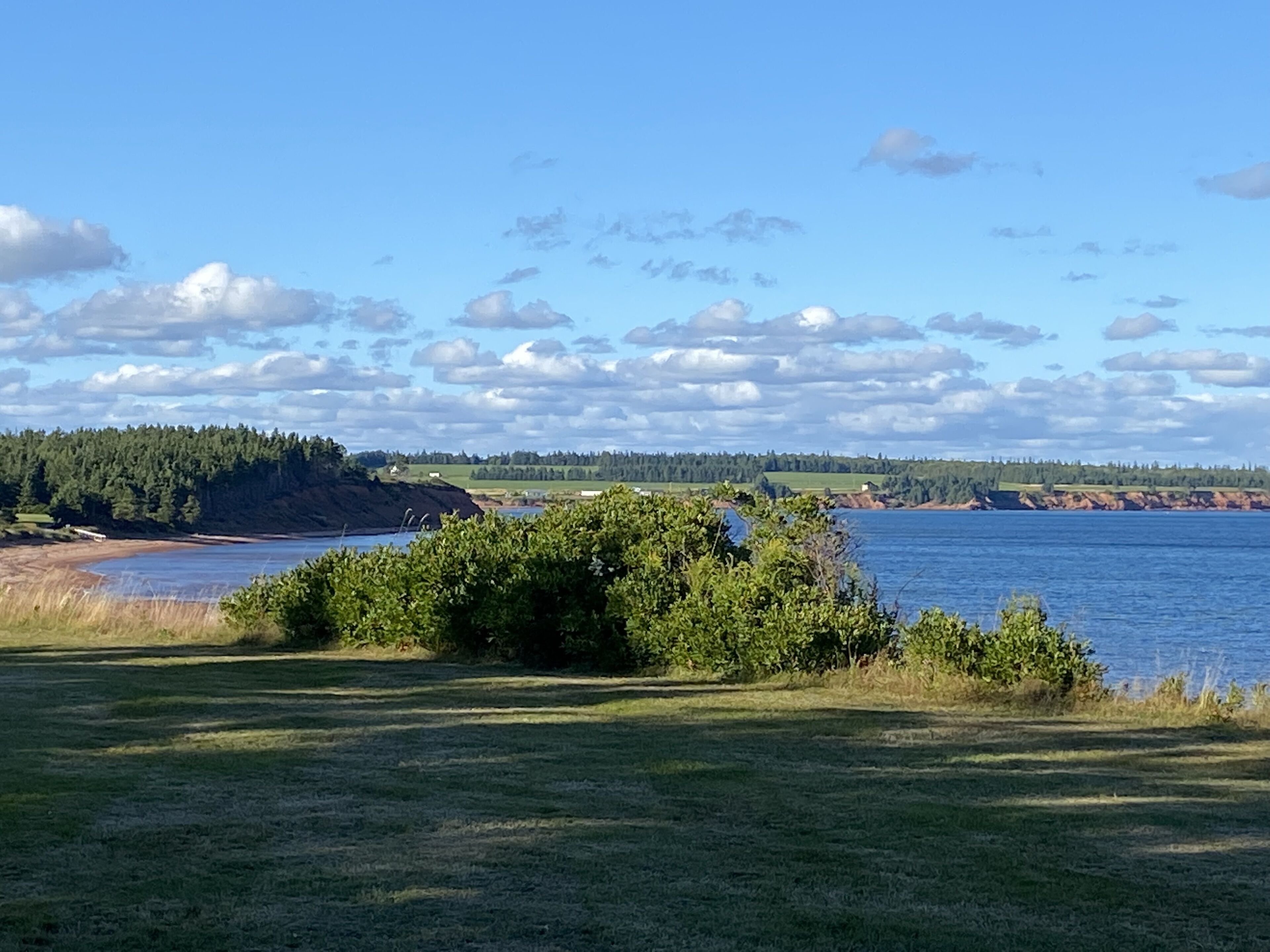 A coastal landscape with a grassy foreground, a body of water, and a forested hill in the background.
