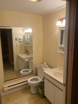 A compact bathroom with a toilet, sink, and mirror. - The Barn at Spry Point (Little Pond)