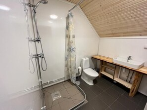 Bathroom features a shower enclosure with a handheld showerhead, toilet, and vanity with sink and mirror.