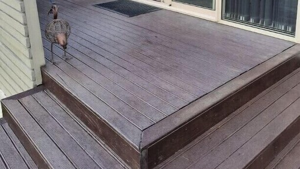A wooden deck with a sliding glass door leading to a covered patio area. - Executive hideaway<br> (Christchurch)