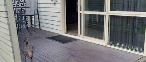 Details aan de buitenkant