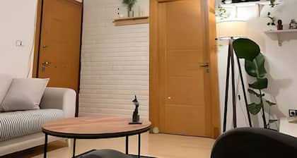 sea wiew flat/GALATA TOWER