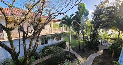 Stay, relax and explore in Seastar, our tropical oasis by the Caribbean Sea.