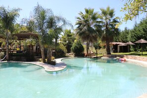 Une piscine entourée de palmiers et bordée d’une terrasse en bois.