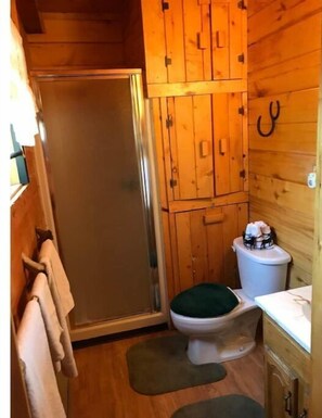 Bathroom features a toilet, shower, and towel rack.