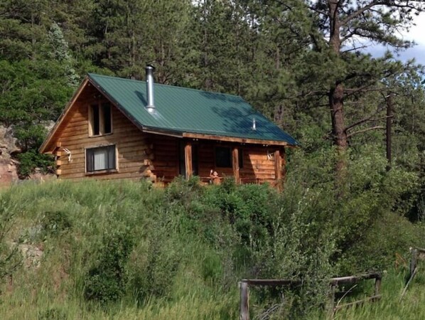 Situated in a lush forest, this cabin offers a secluded retreat with a functional heating system and a chimney.