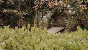 Front of property - Auka Boipeba (Cairu)
