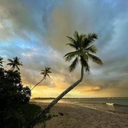 Plage, chaises longues, parasols, serviettes de plage