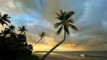 Am Strand, Liegestühle, Sonnenschirme, Strandtücher