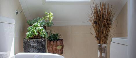 Ein Badezimmer mit Oberlicht, einer Badewanne und zwei Topfpflanzen.