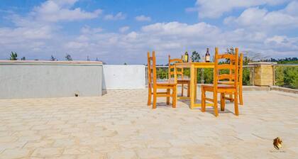 THE WHITE VILLA KING.