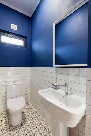 A bathroom with a toilet, sink, and blue walls.