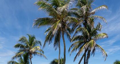 Endless Summer Beach House - Beach Access Pool