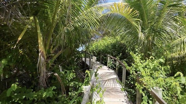 Terrain de l’hébergement 