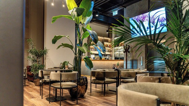 A modern interior with wooden flooring, multiple seating areas, and large potted plants. - Hotel Lonca (Skofja Loka)