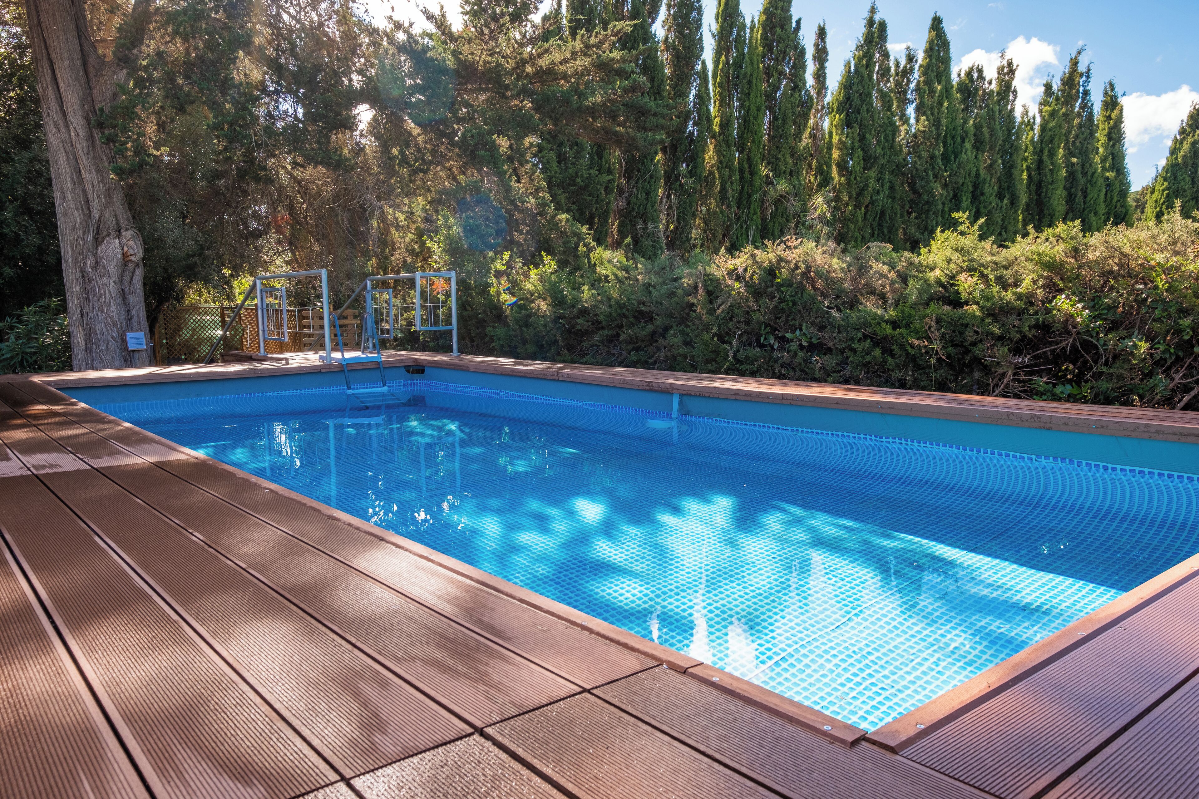 A rectangular swimming pool with a wooden deck, surrounded by dense greenery and tall trees.