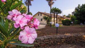 Une maison avec un mur en pierre et un jardin agrémenté de fleurs roses et de palmiers.
