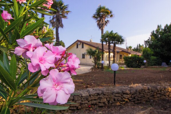 Une maison avec un mur en pierre et un jardin agrémenté de fleurs roses et de palmiers.