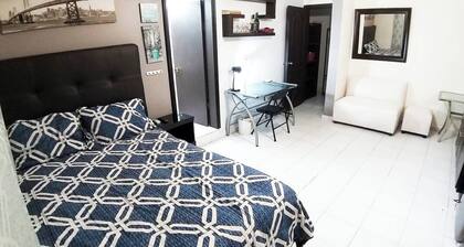 Executive Department #4 Near Imss Enson Laguna