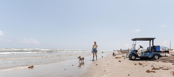 Skimmer 1 Bedroom Cottage - Skimmer - One Bedroom Cottage