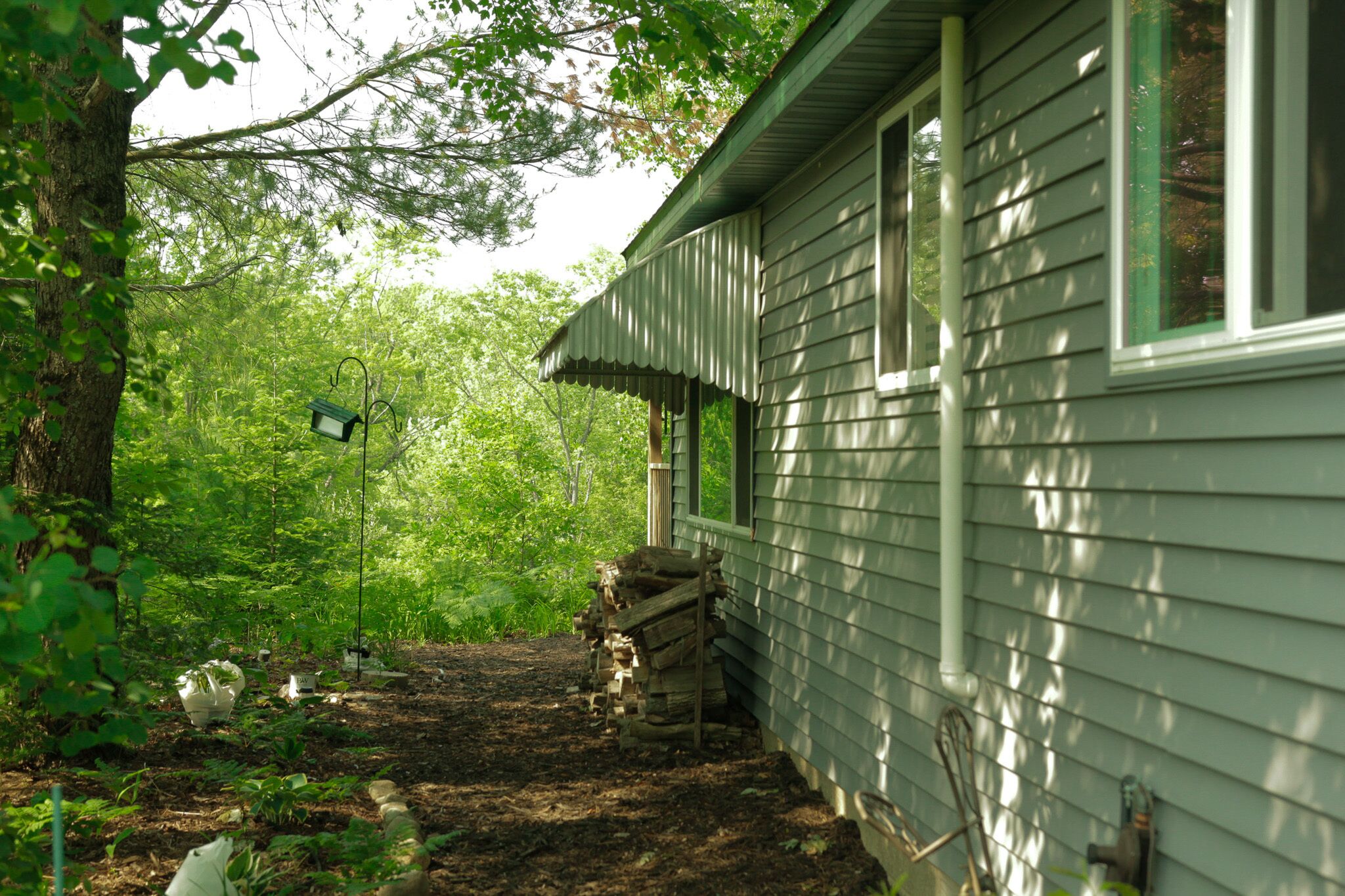 A house with a porch, surrounded by dense greenery.