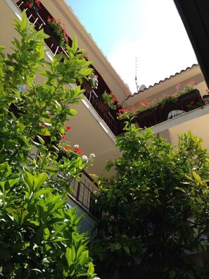 Detalle exterior