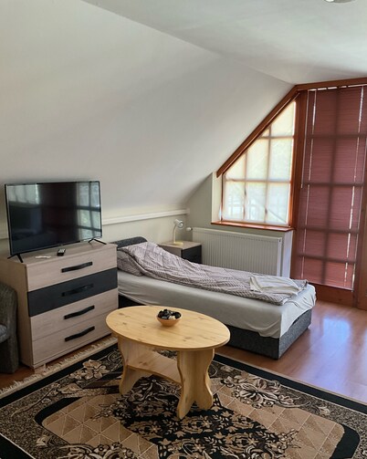 Thàlia Apartman 1 room apartment for 4  people with aircondition and balcony