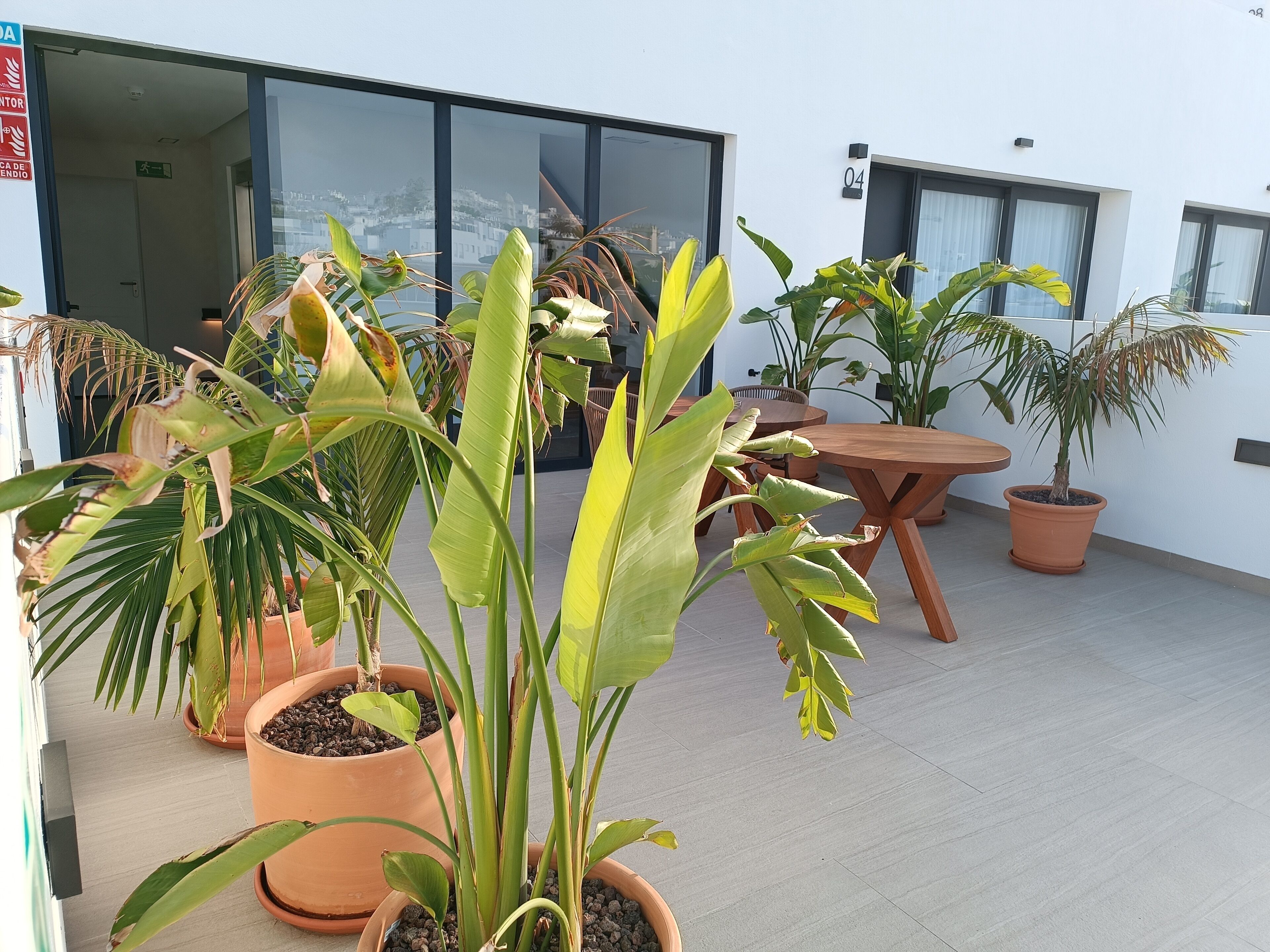 A rooftop terrace with potted plants, a wooden table, and a glass door leading to a building.