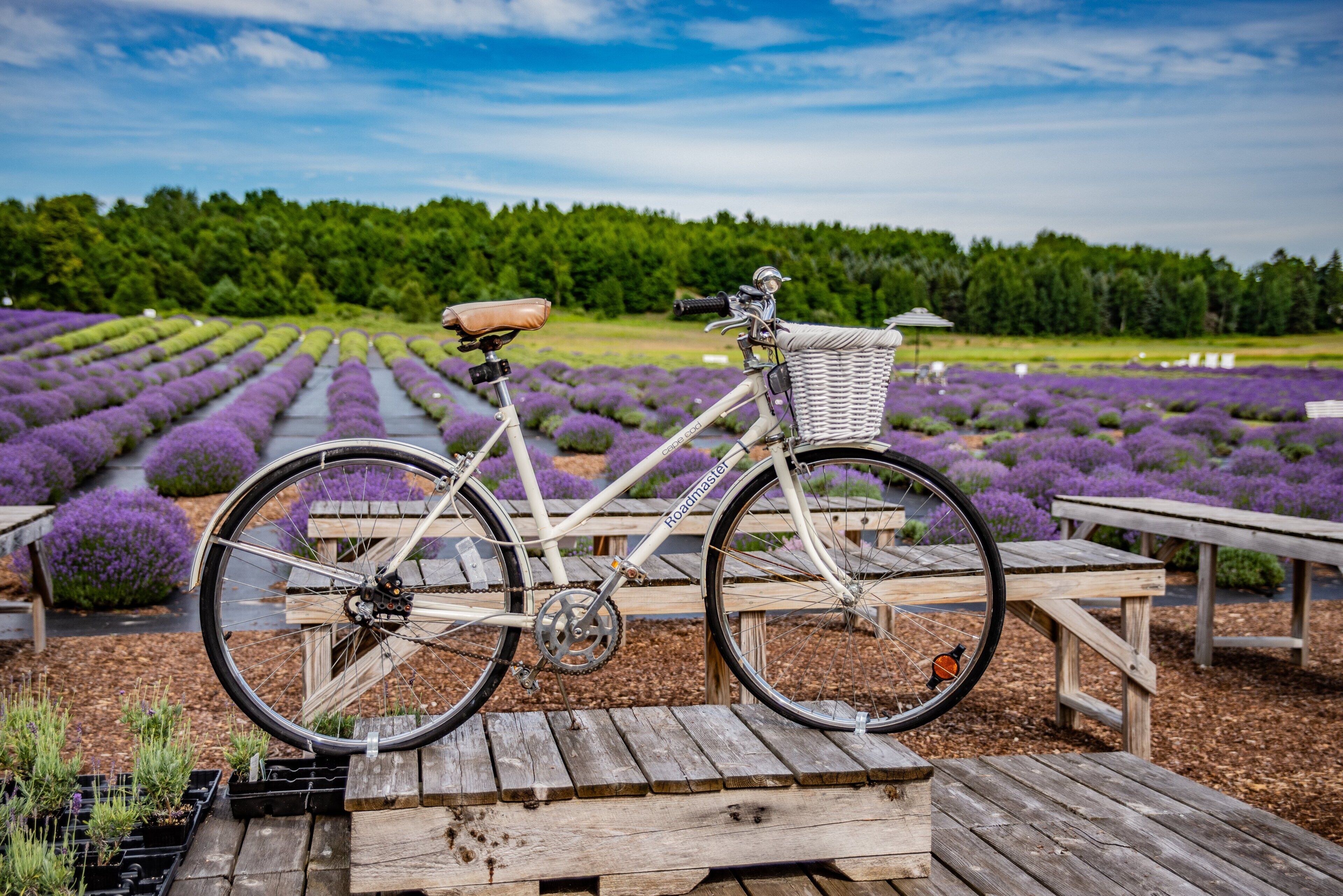 公寓 | 住宿內部