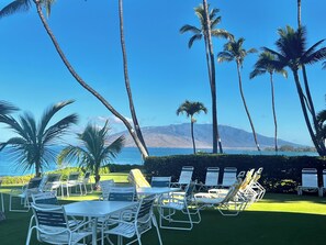 A poolside area with lounge chairs and tables, palm trees, and a view of the ocean and mountains.