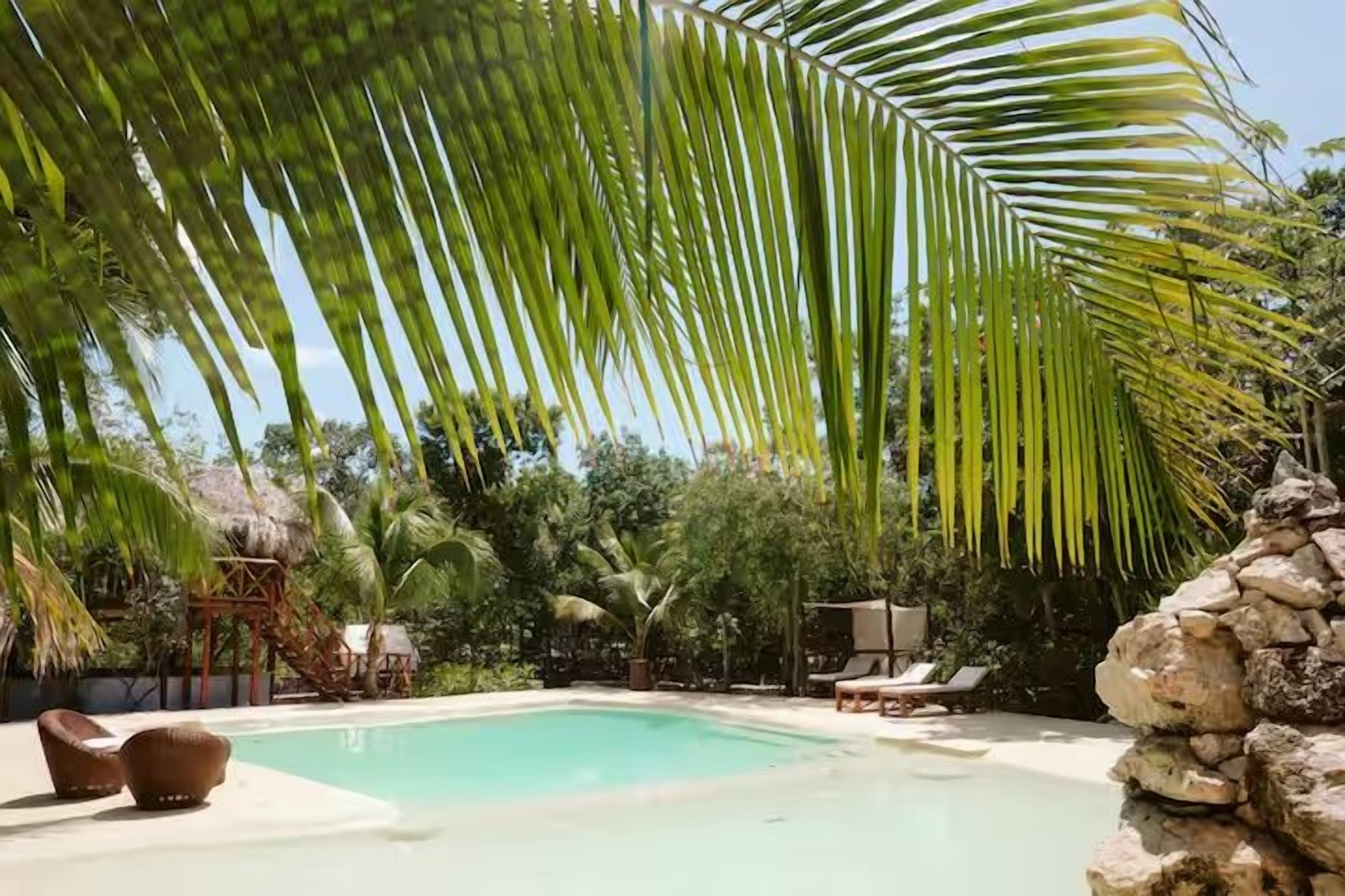 Una piscina con sillas de descanso, una palmera y un muro de piedra.