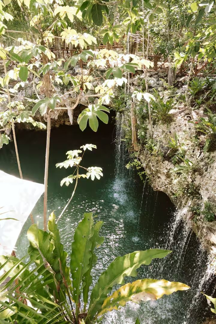 Un site naturel caractérisé par une cascade et entouré d’une végétation luxuriante et de rochers.