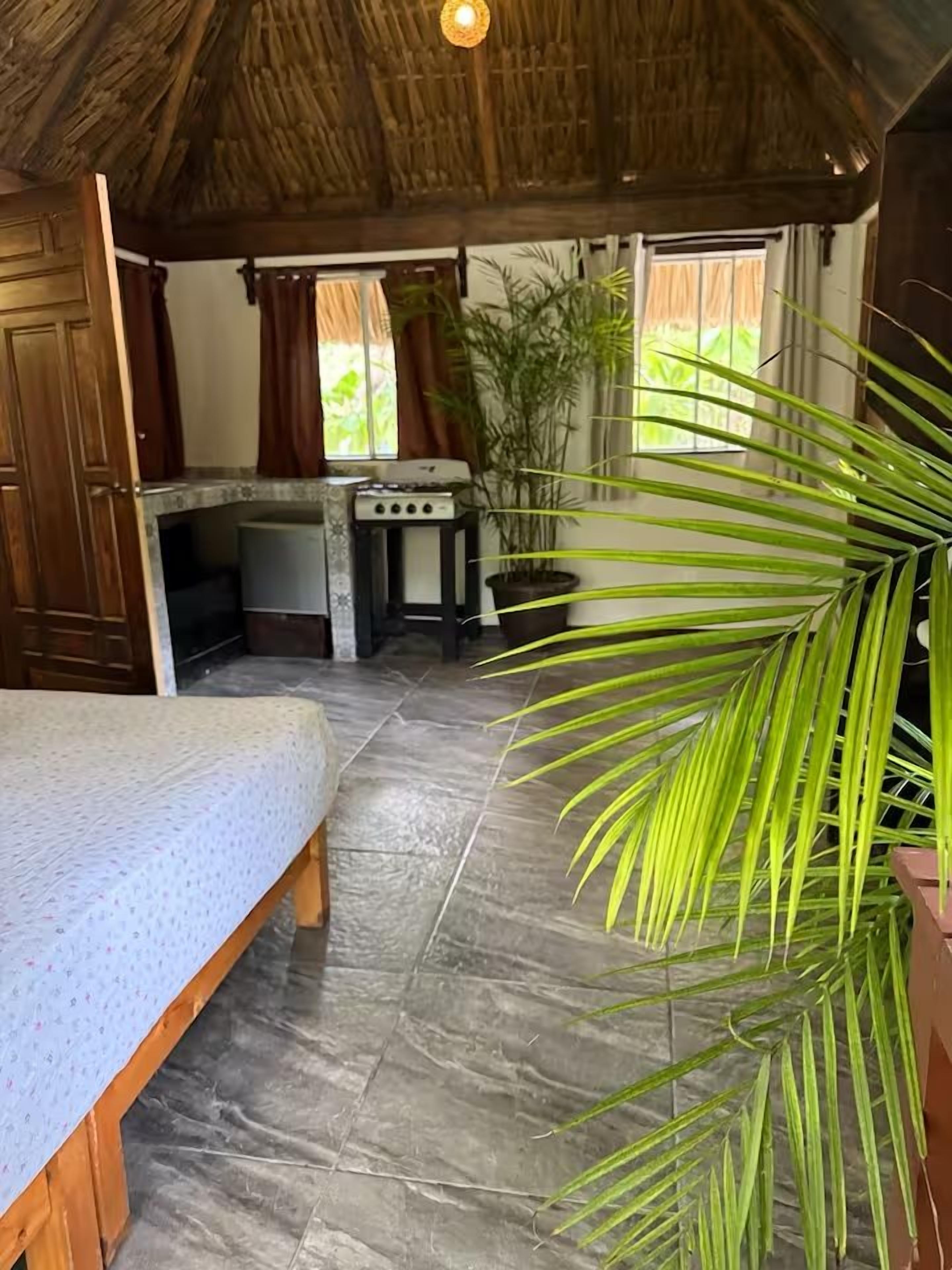 Una habitación con una cama, una kitchenette y una planta grande.
