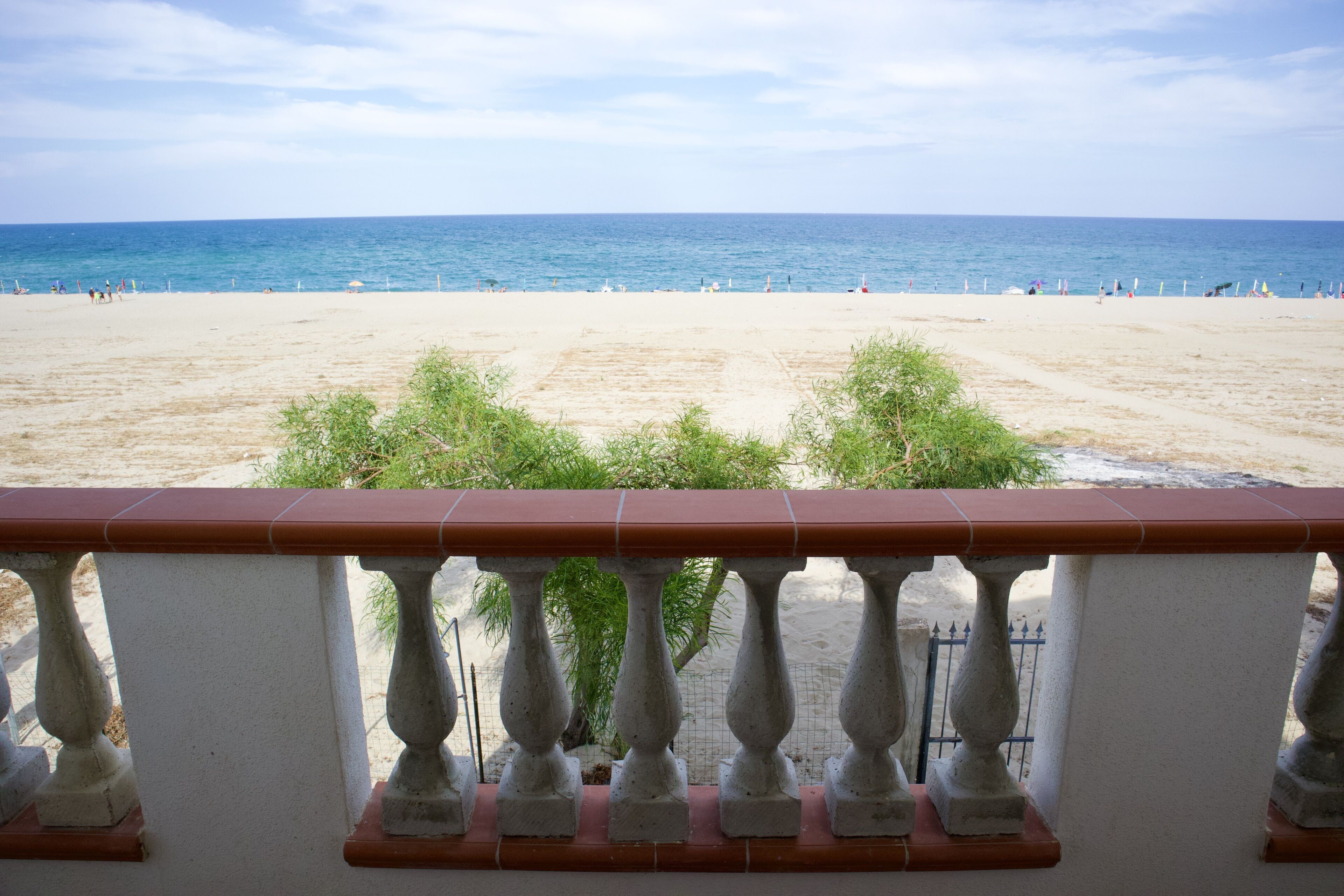 全景客房 | 露台