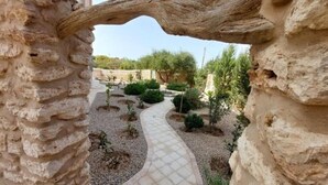 Un chemin de pierres qui traverse un jardin, avec un grand arbre dont les branches s’arquent au-dessus.