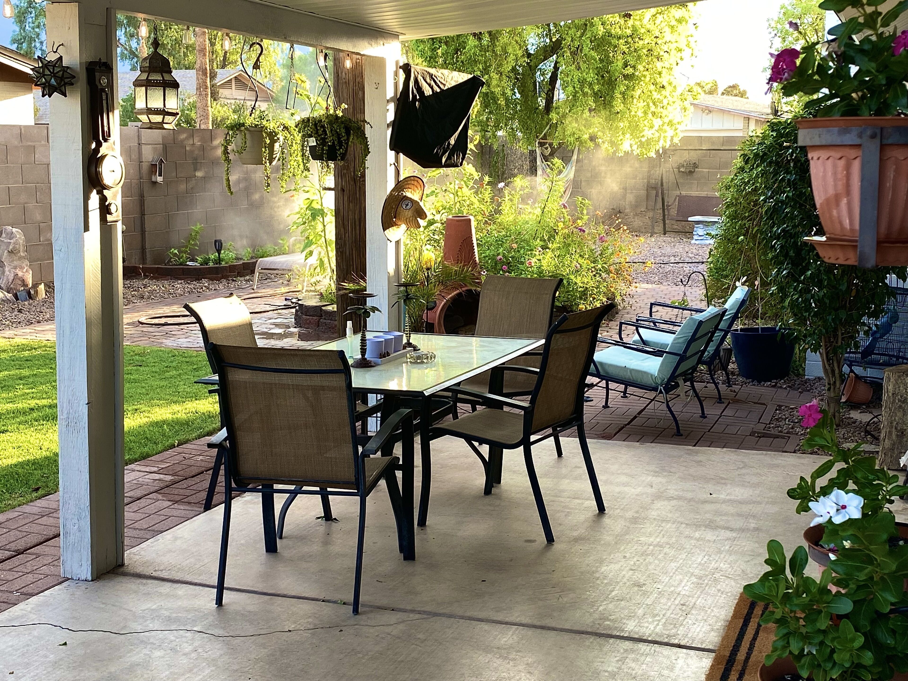 Beautiful garden oasis in the desert! 