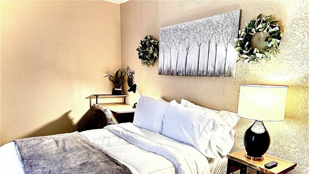 A bedroom with a bed, a nightstand, a lamp, a wall-mounted artwork, and a potted plant. - Eagle Stay 7 Condo-Eagle Pass (Eagle Pass)