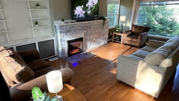 Smart TV, fireplace, books