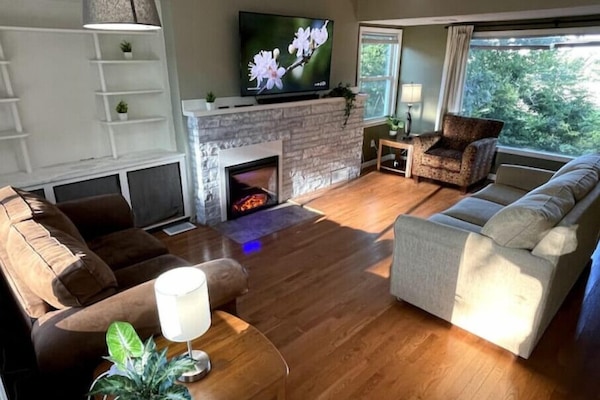 Smart TV, fireplace, books