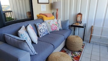 Smart TV, DVD player, books