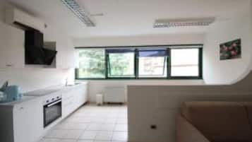 Fridge, dishwasher, electric kettle, cookware/dishes/utensils