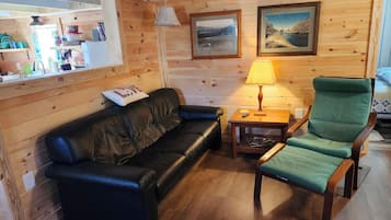 Smart TV, computer monitors