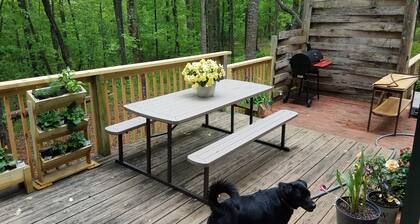 Rose's Cabin - A Rustic Pet-Friendly Cabin In The Woods