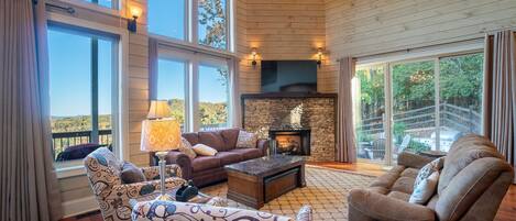 Smart TV, fireplace, DVD player, books