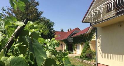 Ground Floor Premium 2-Room Apartment for 4 Persons