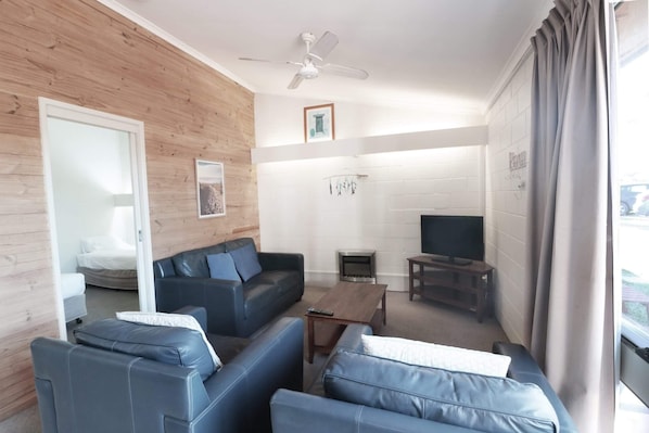 TV, fireplace - Micks Budget Accommodation on Fishpen (Merimbula)