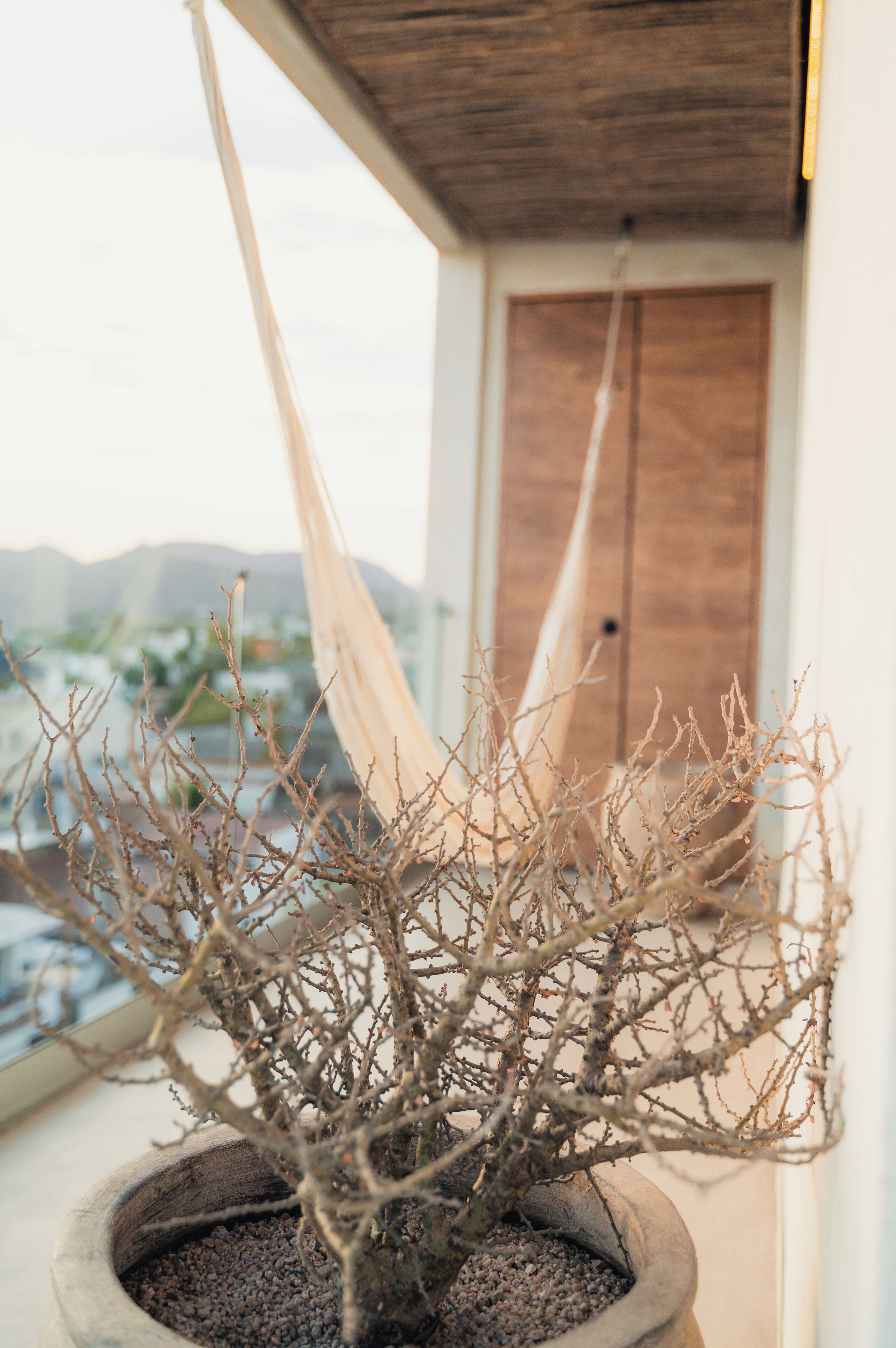 Photo - Republica Pagana